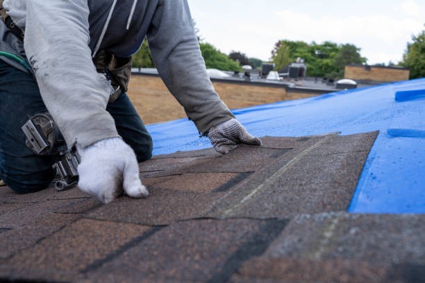 Quick and Trustworthy Emergency Roof Repair Services in Mars Hill, NC