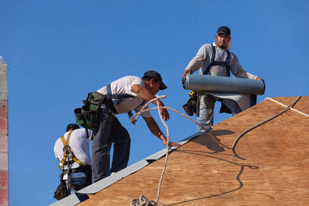 Best New Roof Installation  in Mars Hill, NC
