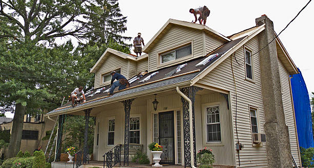 Roof Gutter Cleaning in Mars Hill, NC
